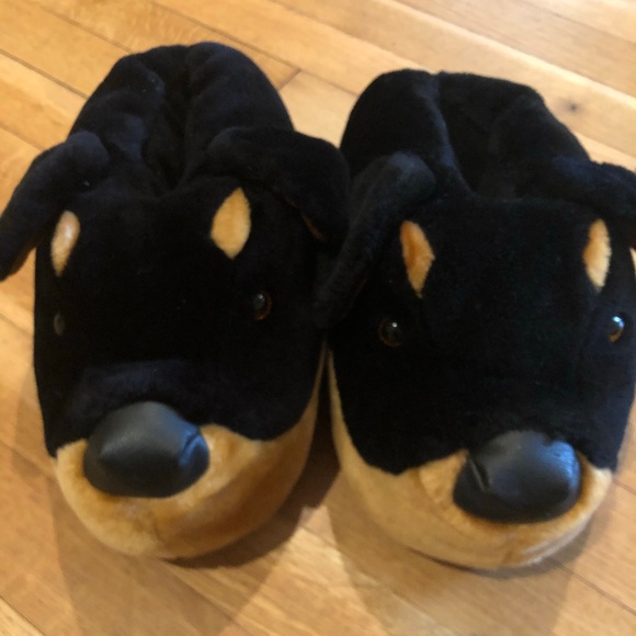 volunteers for animals near me